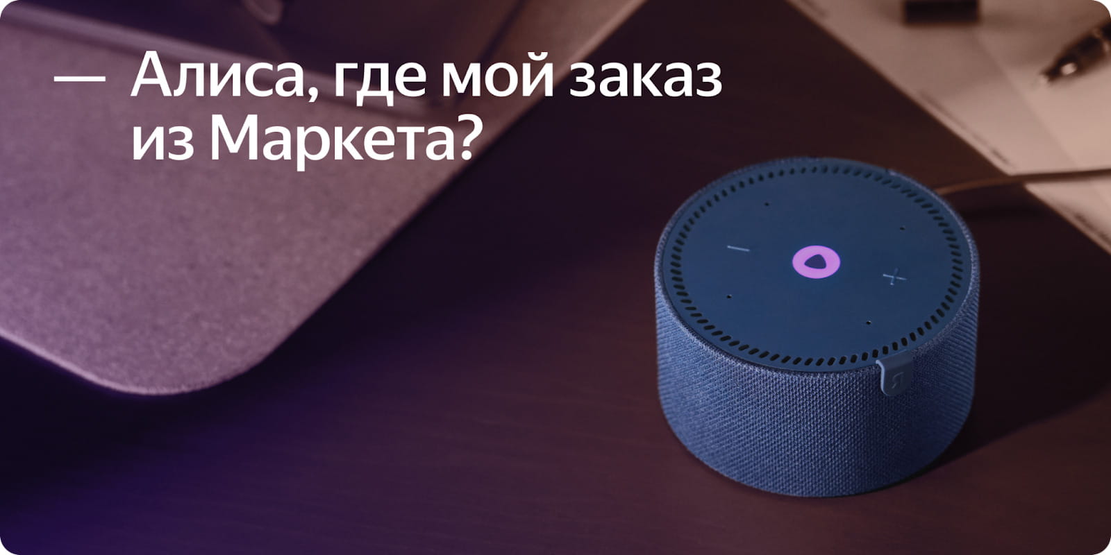 Диалог с Алисой